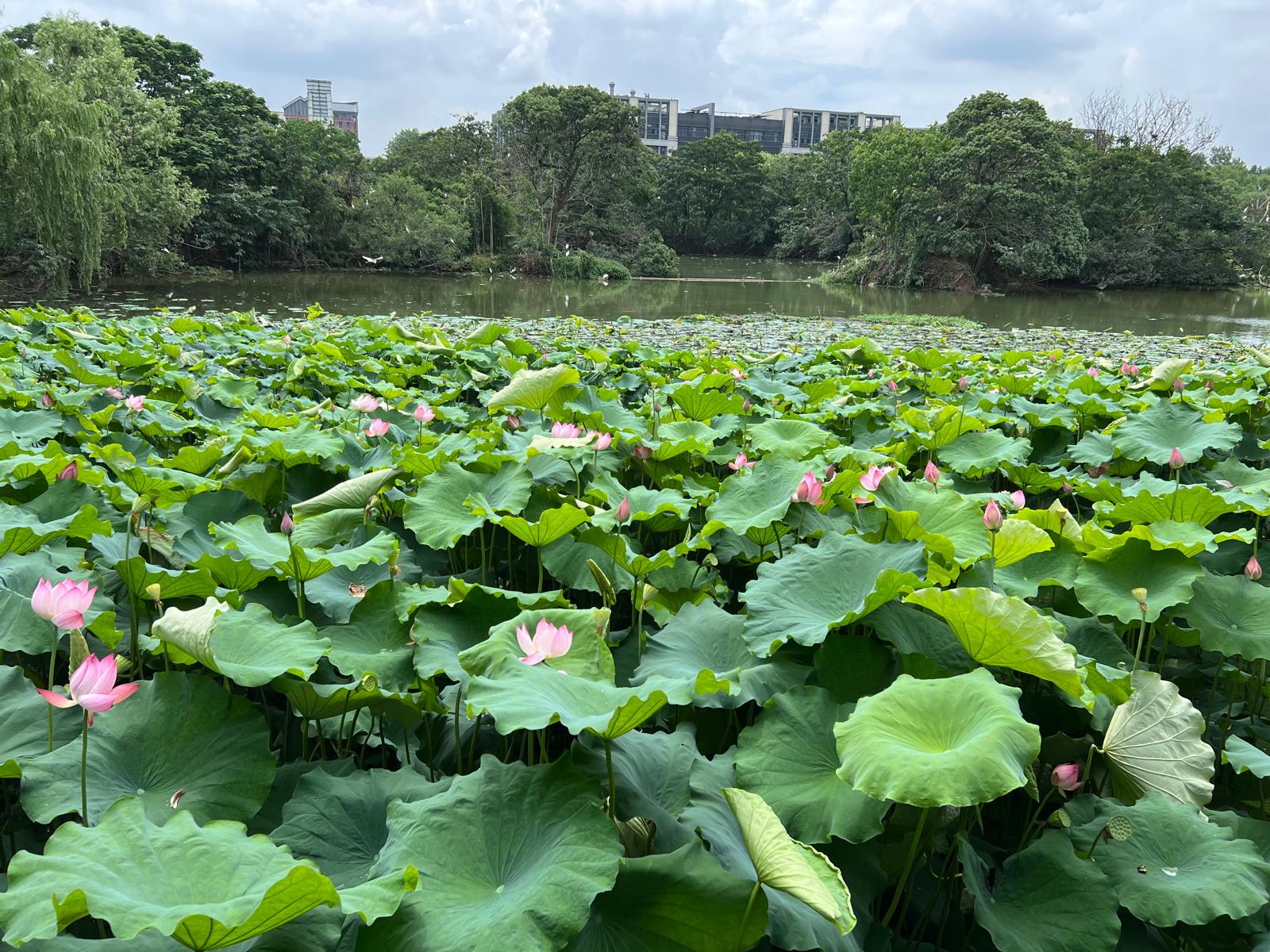 WhatsApp Image 2025-11-26 at 12.10.28 AM